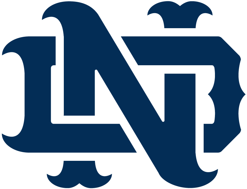 Notre Dame Fighting Irish 1994-Pres Alternate Logo v11 diy DTF decal sticker